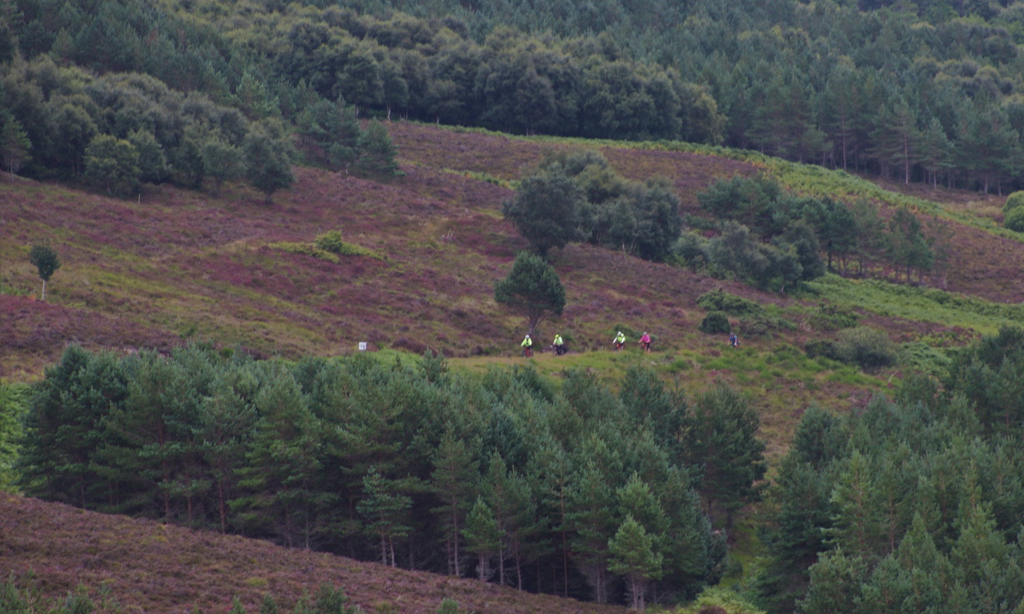 Cycling Scotland - redspokes